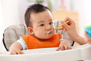 婴儿营养补充剂怎么吃三个月宝宝量体温放哪里
